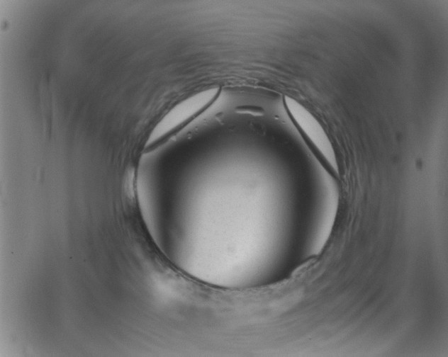 X0000062650041200512230907