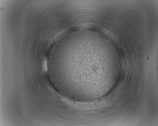 X0000062650042200512230907