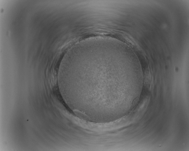 X0000062650043200512230907