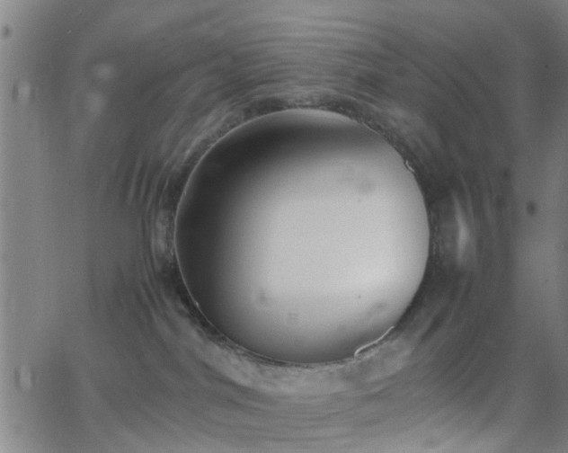 X0000062650044200512230907