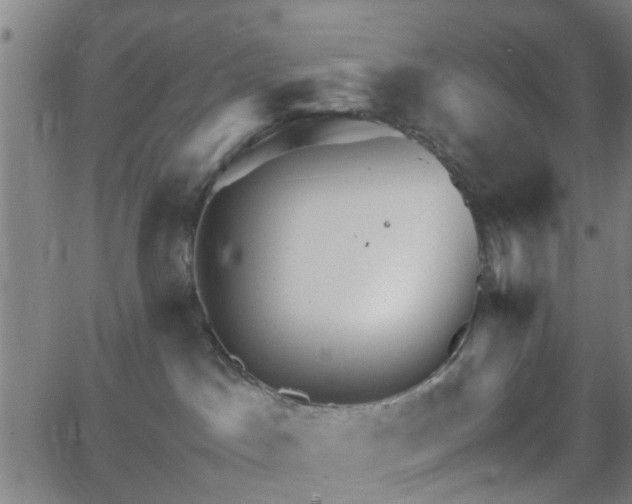 X0000062650045200512230907