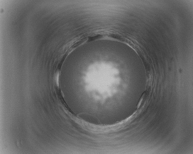 X0000062650047200512230907