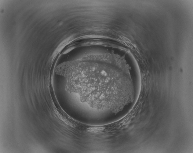 X0000062650051200512230906