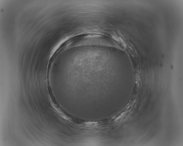 X0000062650052200512230906