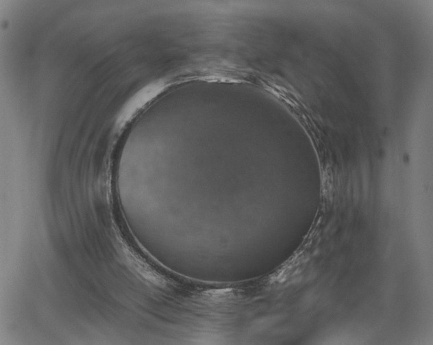 X0000062650054200512230906