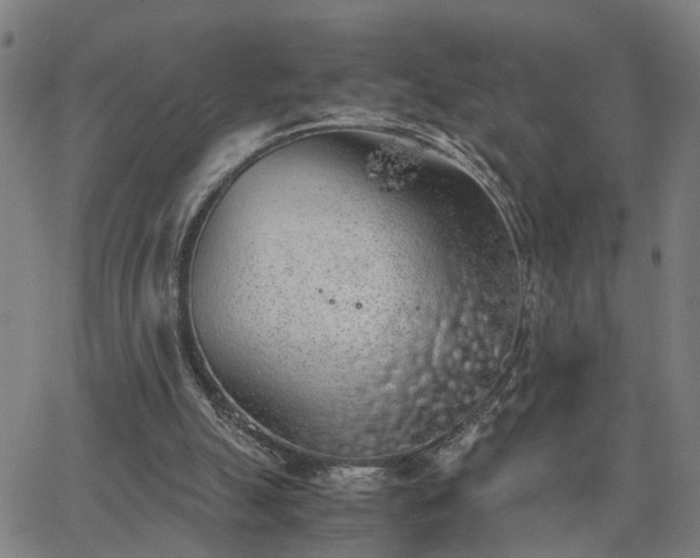 X0000062650055200512230906