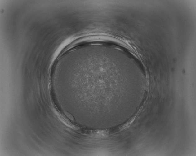 X0000062650056200512230906