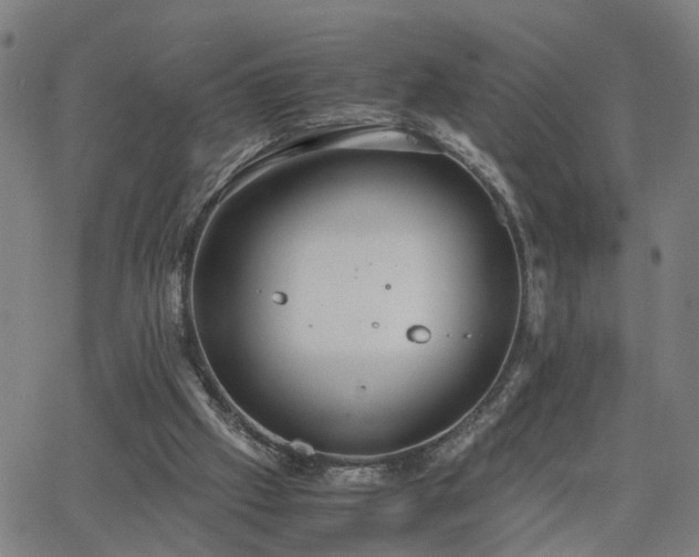 X0000062650057200512230906