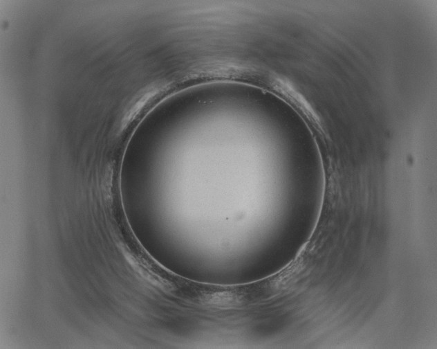 X0000062650058200512230906