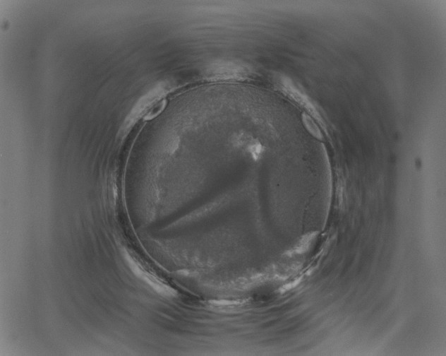 X0000062650059200512230906