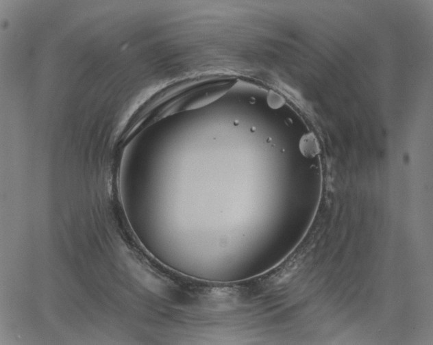 X0000062650060200512230906