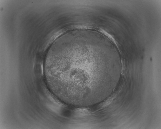 X0000062650061200512230906