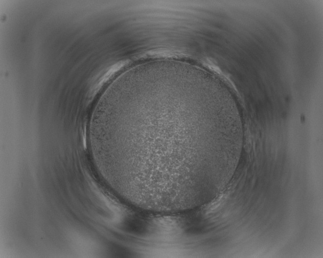 X0000062650062200512230906