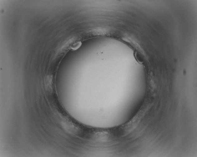 X0000062650066200512230906