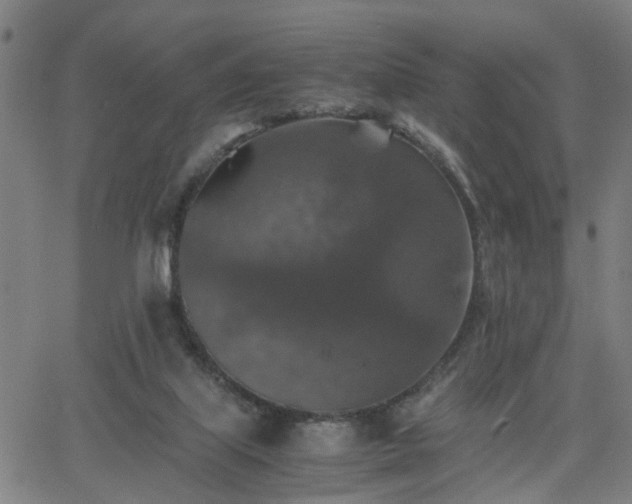 X0000062650067200512230906