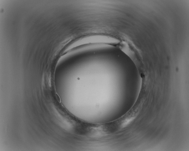 X0000062650068200512230906