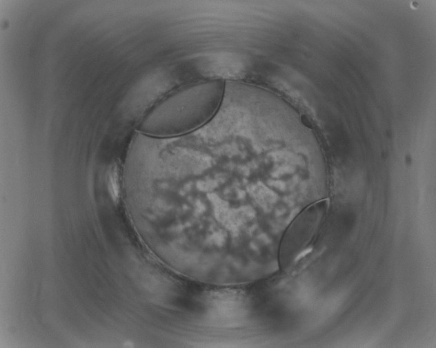 X0000062650069200512230906