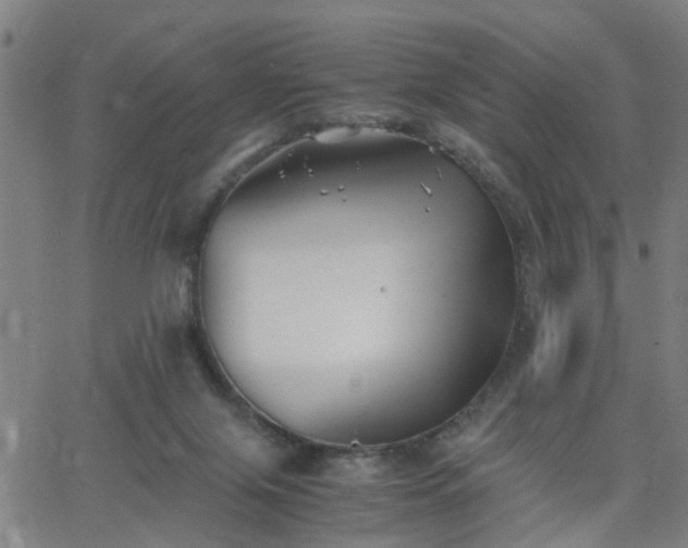 X0000062650071200512230906