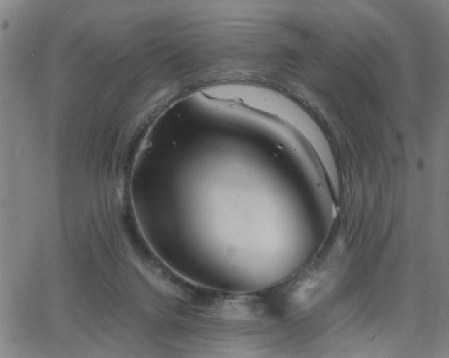 X0000062650072200512230906