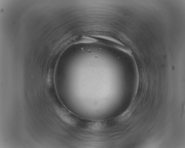 X0000062650074200512230906