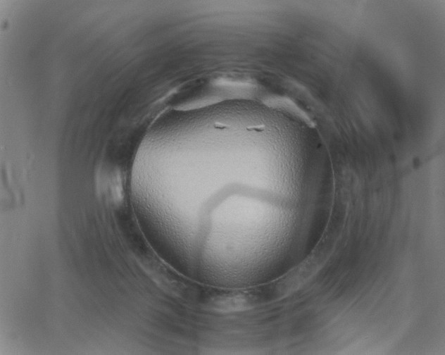 X0000062650075200512230906