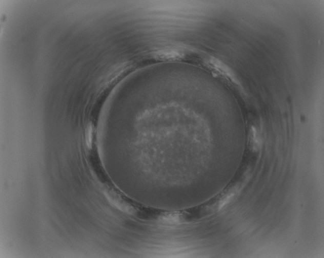 X0000062650076200512230906