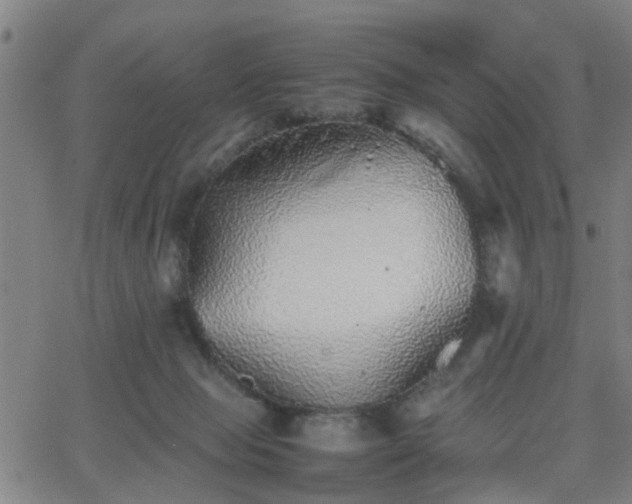 X0000062650077200512230906