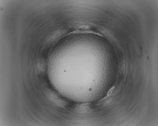 X0000062650078200512230906