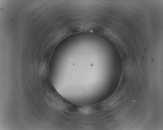 X0000062650079200512230906