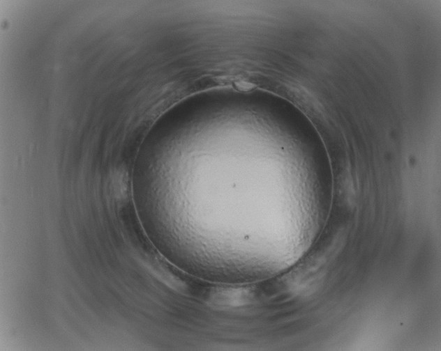 X0000062650081200512230906