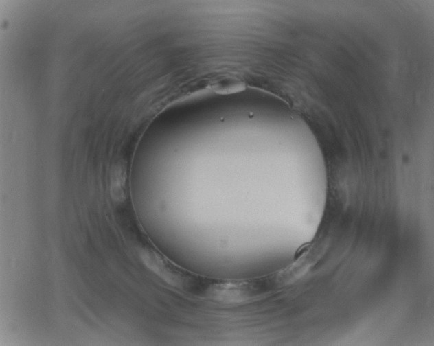 X0000062650082200512230906