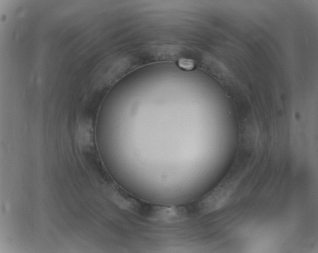 X0000062650083200512230906