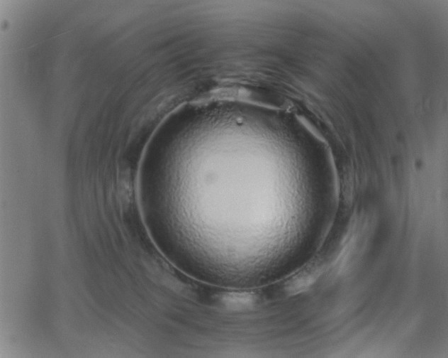 X0000062650085200512230907