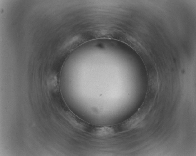 X0000062650087200512230907