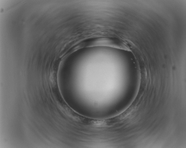 X0000062650088200512230907