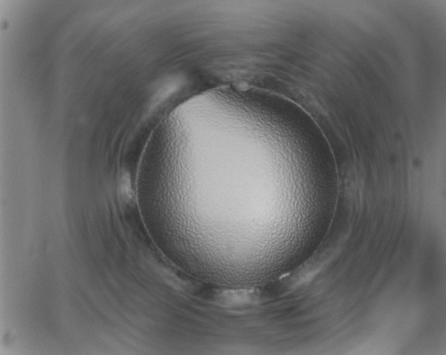 X0000062650089200512230907