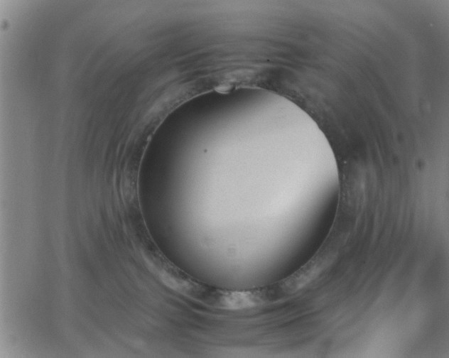 X0000062650091200512230907