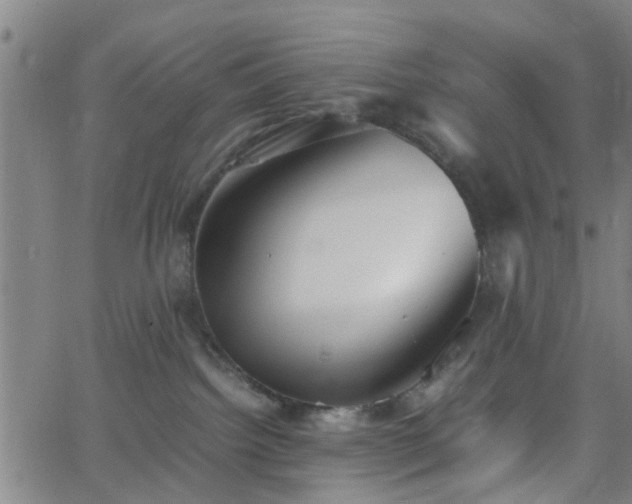 X0000062650092200512230907