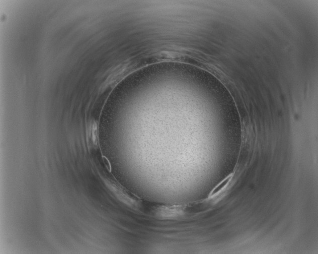 X0000062650094200512230907