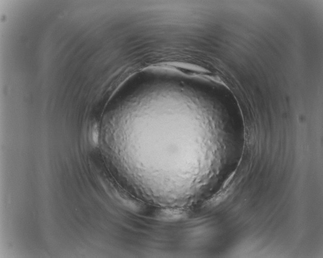 X0000062650095200512230907