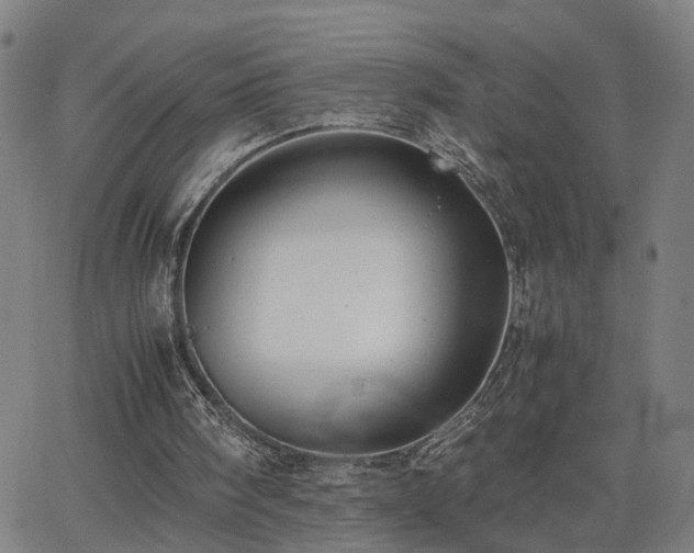 X0000062650098200512230906