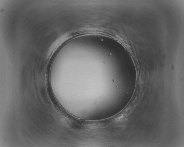 X0000062650103200512230906