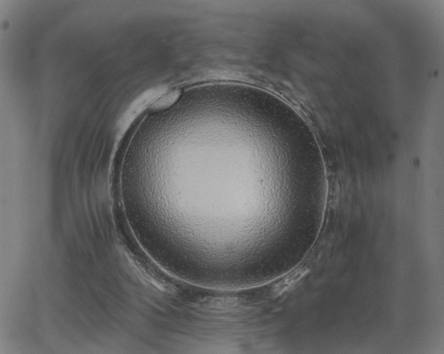 X0000062650104200512230906