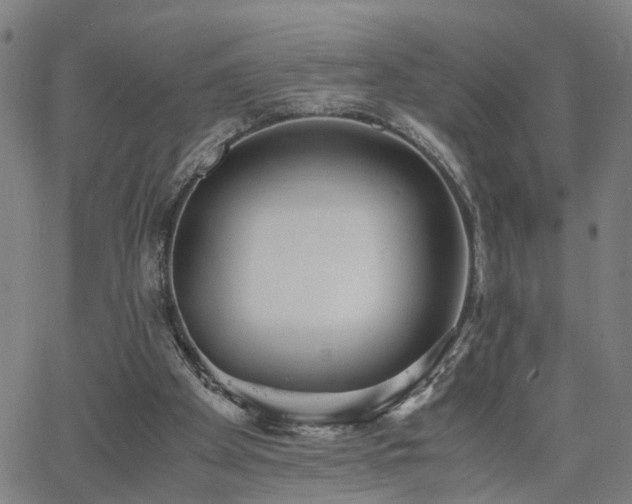 X0000062650105200512230906