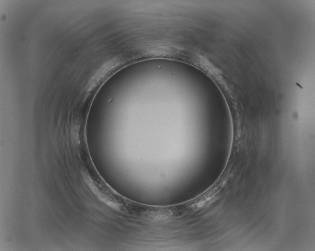 X0000062650106200512230906