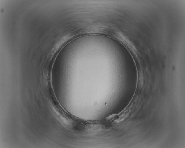 X0000062650107200512230906