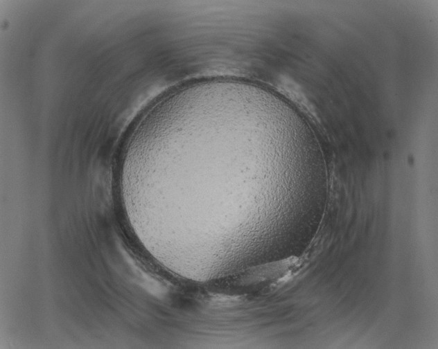 X0000062650108200512230906