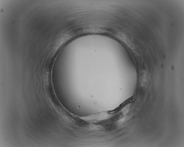 X0000062650111200512230906