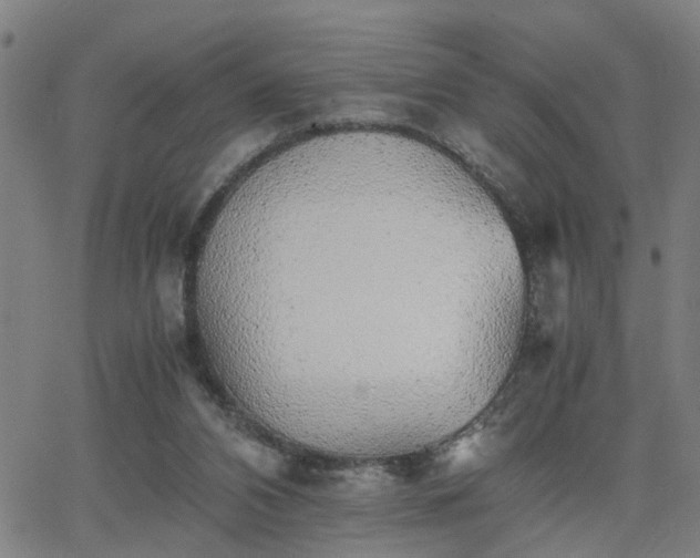 X0000062650112200512230906