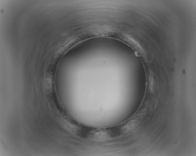 X0000062650113200512230906